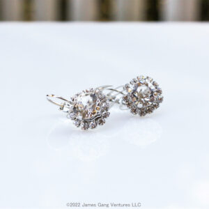 Crystal Halo Set Petite Silver-Plated Earrings