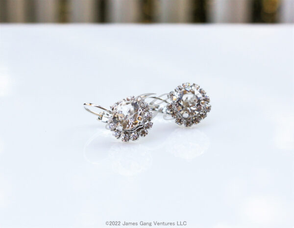 Crystal Halo Set Petite Silver-Plated Earrings